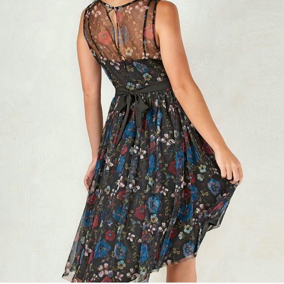 Lauren Conrad Dress - Picture 3 of 3